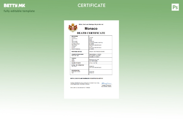 модерен стил Монако витален рекорд за смртен шаблон Word и PDF шаблон